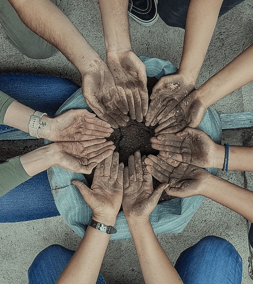 Donación Greenpeace en las escuelas